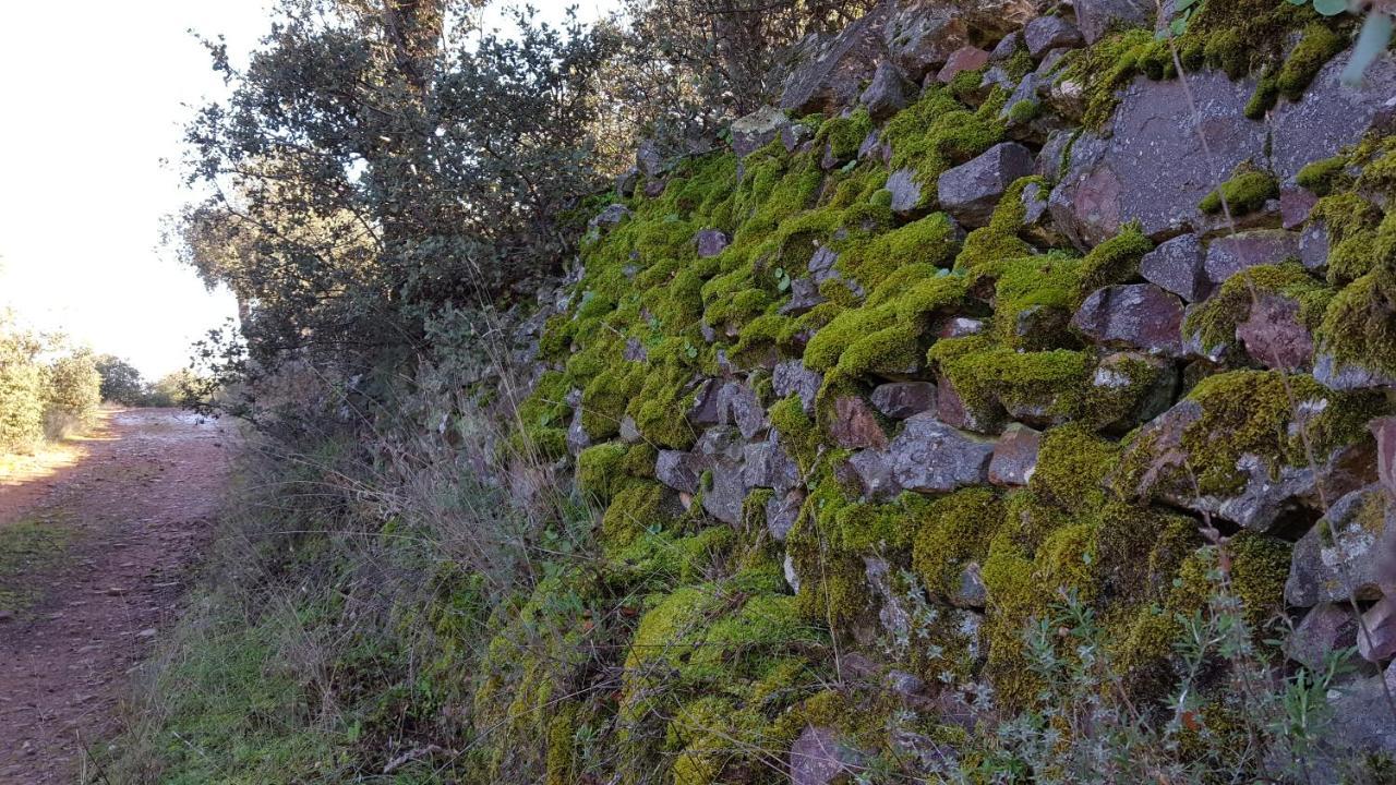 Casa Rural El Arco La Estrella  외부 사진