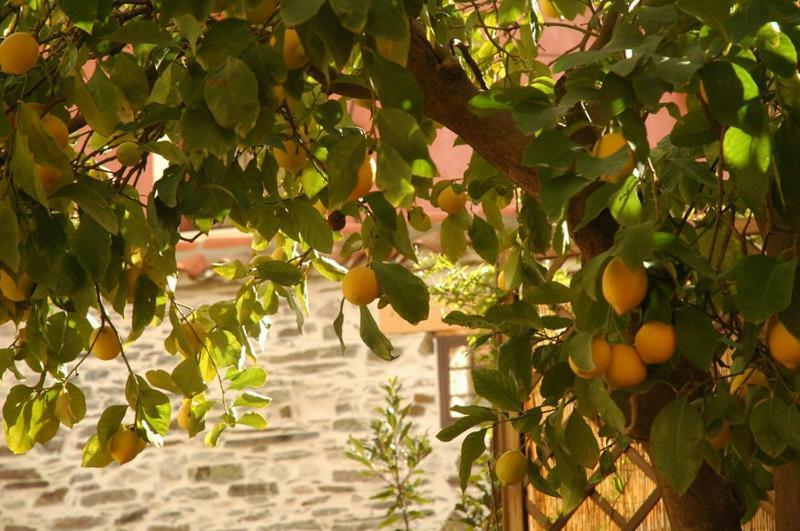 Casa Rural El Arco La Estrella  외부 사진